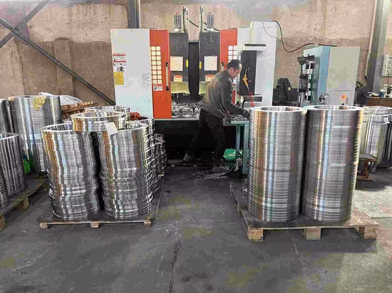 ANSI/DIN/GOST RF FF A105 304L 316L Wn/So/Flange de tubo de aço forjado cego